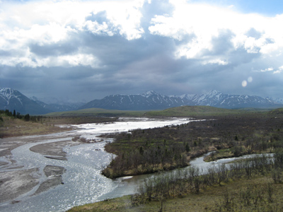 Savage River, Denali National Park