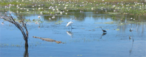 Kakadu National Park