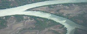 Vadehavsfloder med mangrove ved Australiens nordkyst